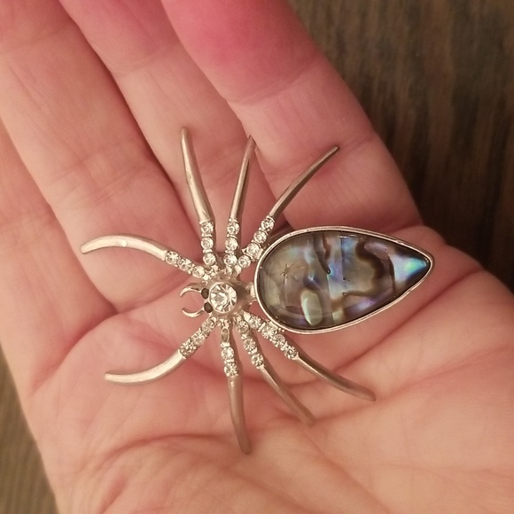 Spider pin abalone - Picture 2 of 3